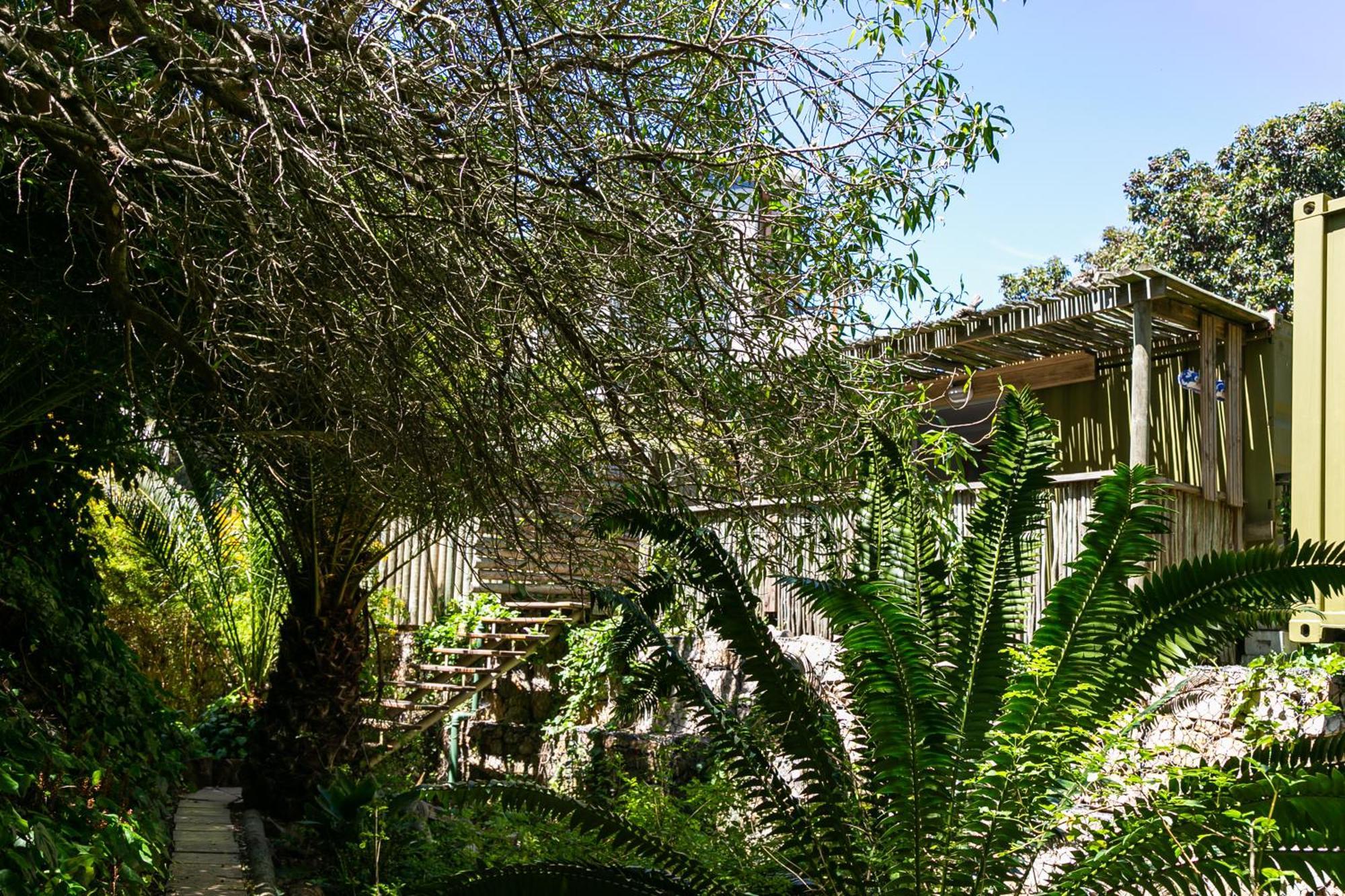Camps Bay Forest Pods Cidade Do Cabo Exterior foto